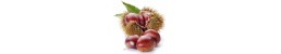 SOPG Levak webshop SOPG Levak webshop